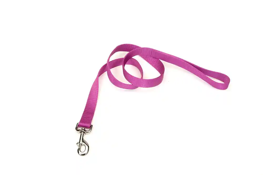 Single-ply Dog Leash, Orchid, 5/8" X 6'
