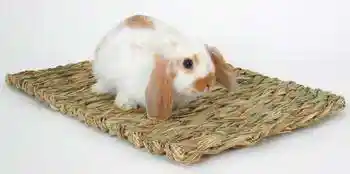 Marshall Peters Rabbit Woven Grass Mat