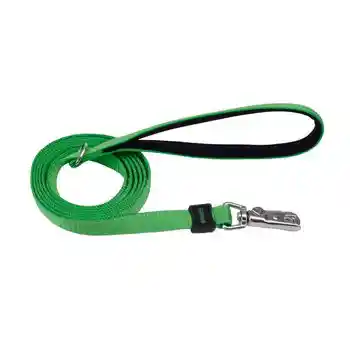 Leash, Green, 1" X 06'