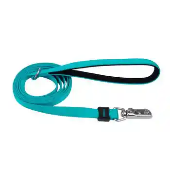 Leash, Aqua, 1" X 06'