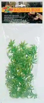 Natural Bush Mexican Phyllo Medium