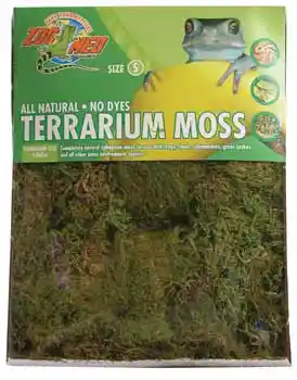 Terrarium Green Moss 2lb Mini Bale