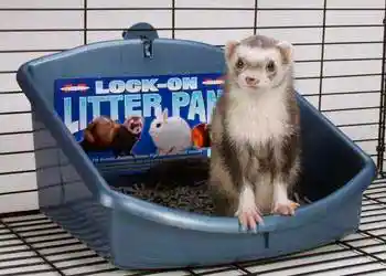 Lock-on Litter Pan Medium