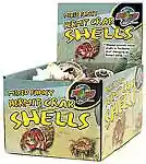 Hermit Fancy Shells 24 Pc