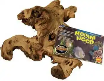 African Mopani Wood X-large 20-24"