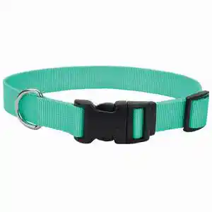 Adjustable Dog Collar With Plastic Buckle Teal Med 3/4 X 14-20-in
