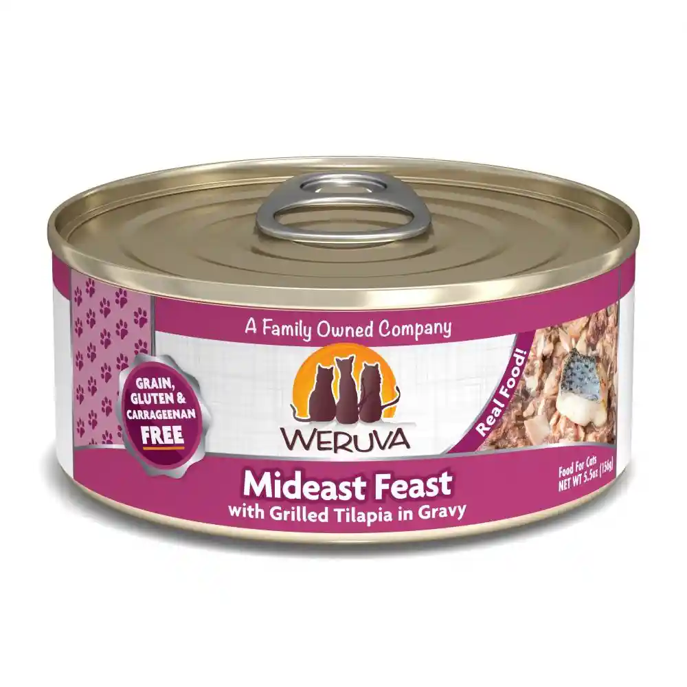 Mideast Feast With Grilled Tilapia Canned Cat Food 3-oz