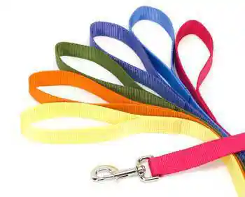 Single-ply Dog Leash, Blue Lagoon, 5/8" X 6'