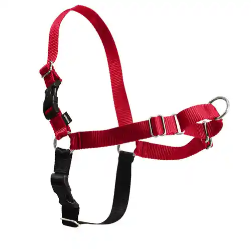 Gentle leader easy walk sale