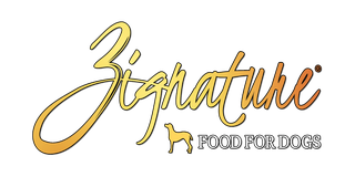 Zignature Logo.